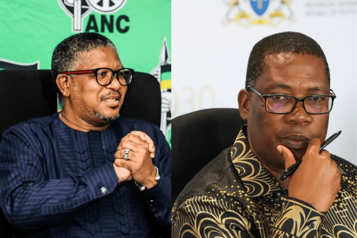 ANC secretary-general Fikile Mbalula and ANC Gauteng chairperson Panyaza Lesufi.