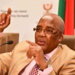 Motsoaledi says a chemical, which falls under the category of organophosphate.