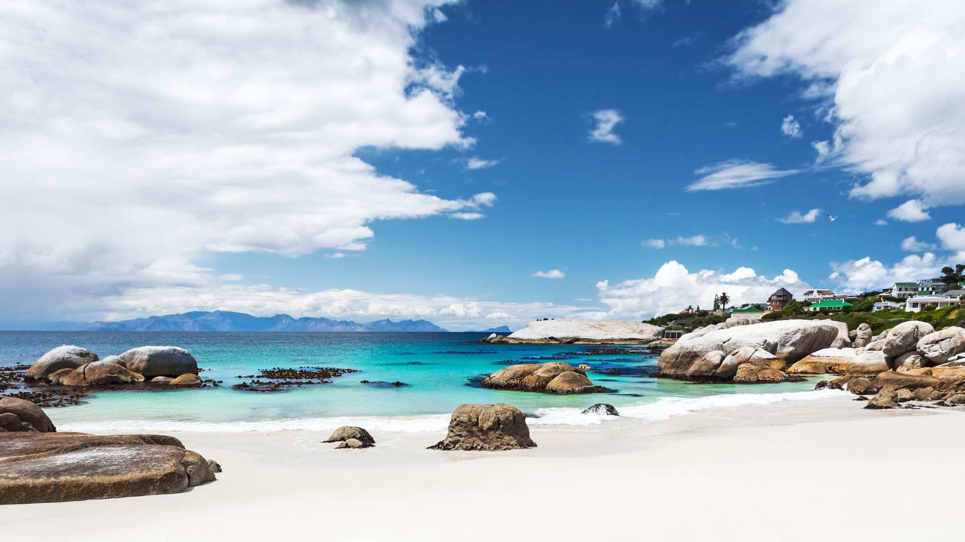 cape town beaches