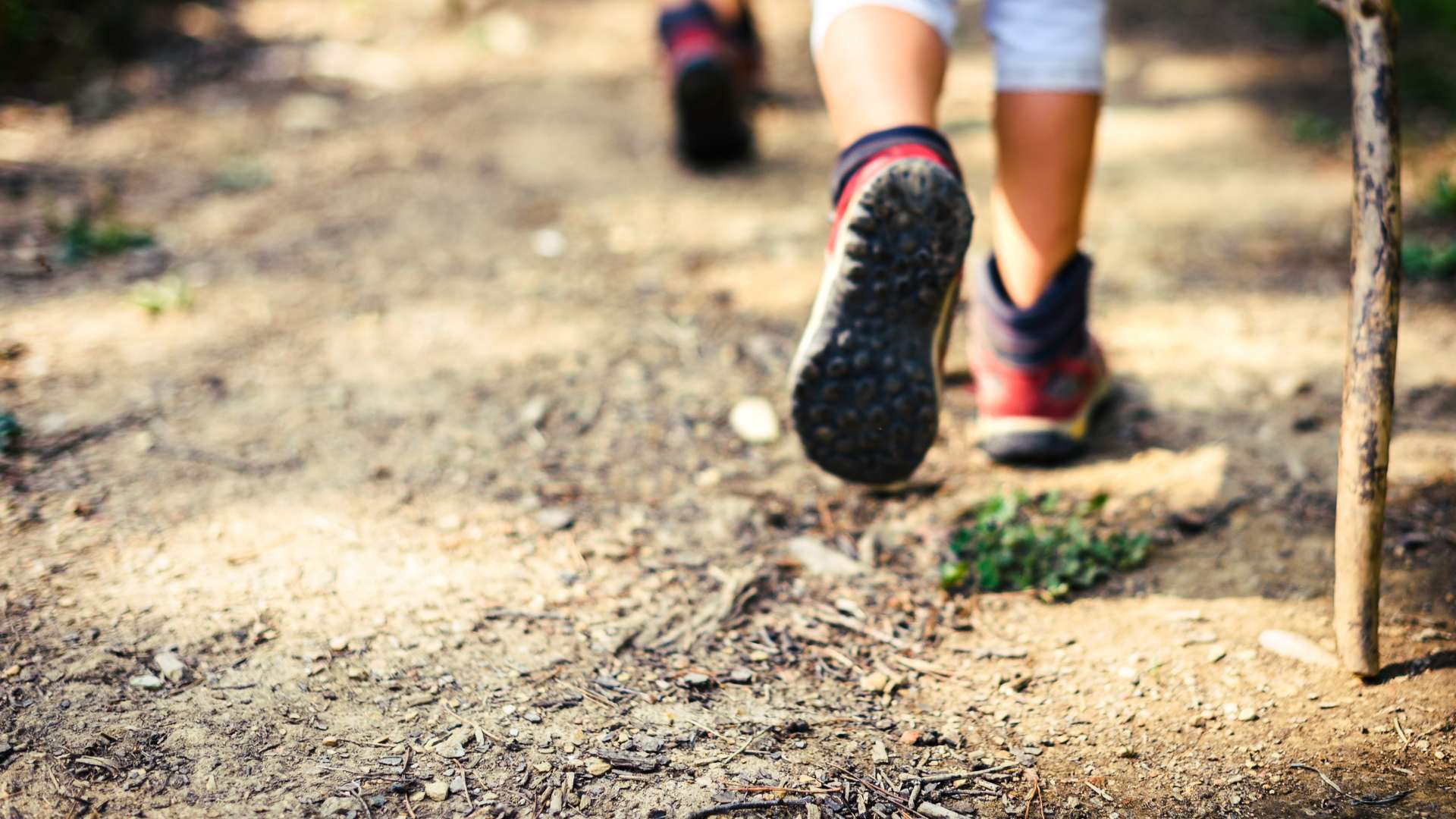 hiking trail