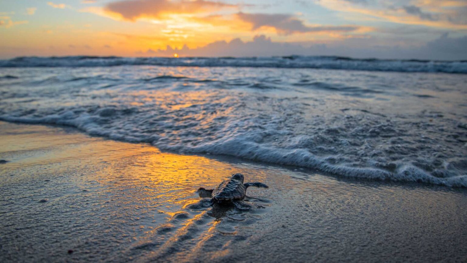 Four unusual things to do along the KZN North Coast SA People