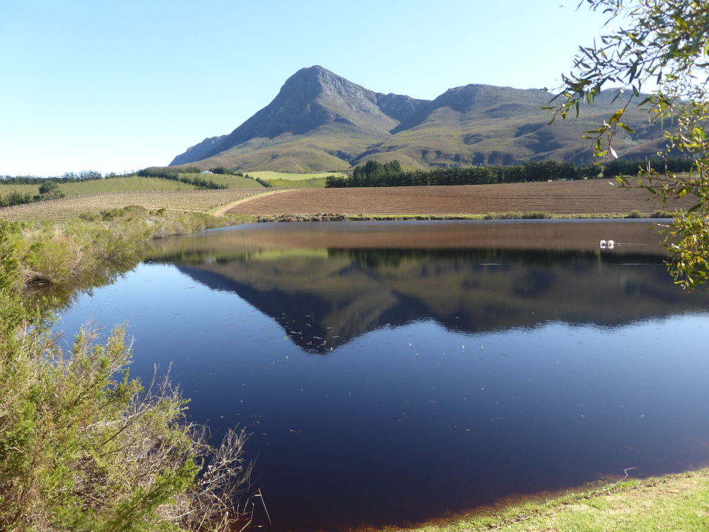 world's best vineyards