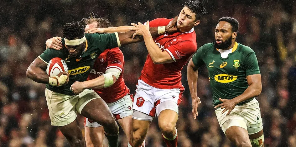 Springboks vs Wales