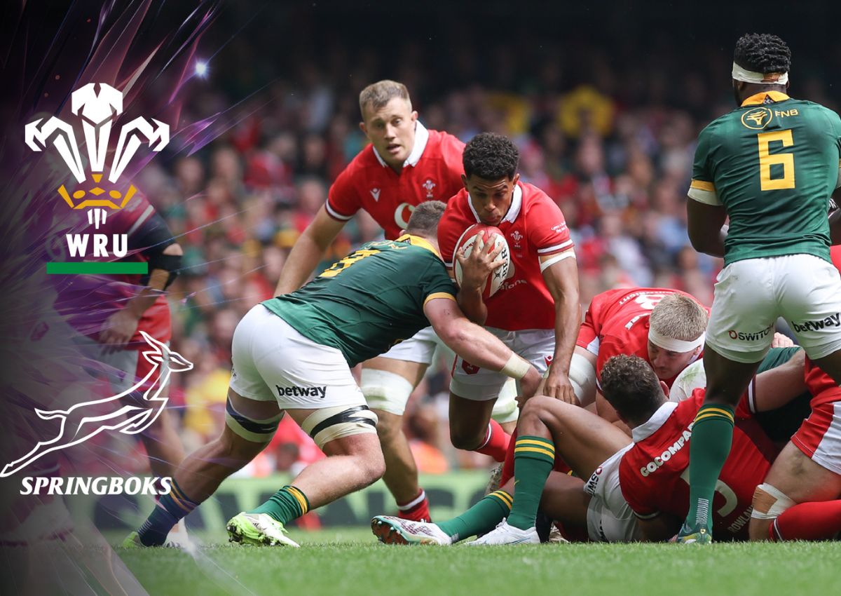 Catch Wales vs South Africa on 23 November 2024, at Principality Stadium!