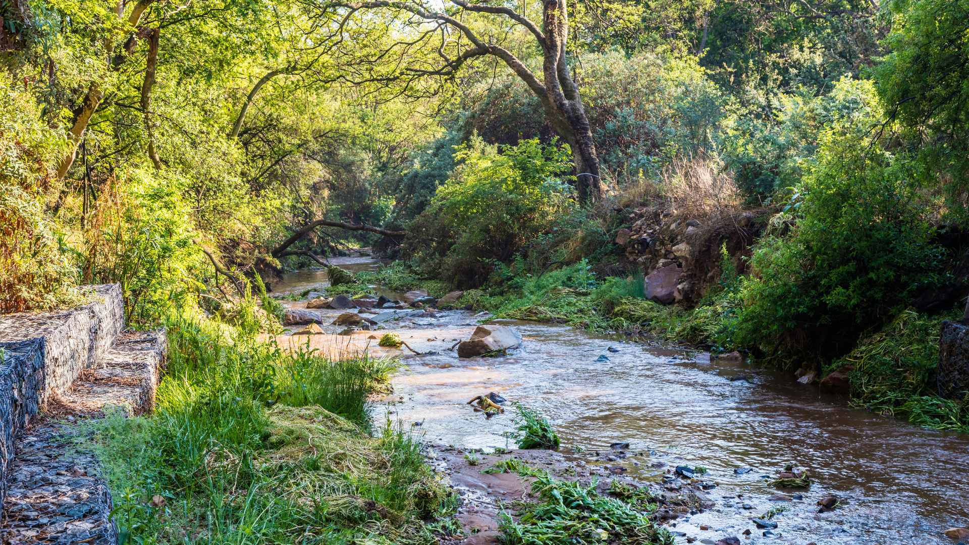 johannesburg hiking trails