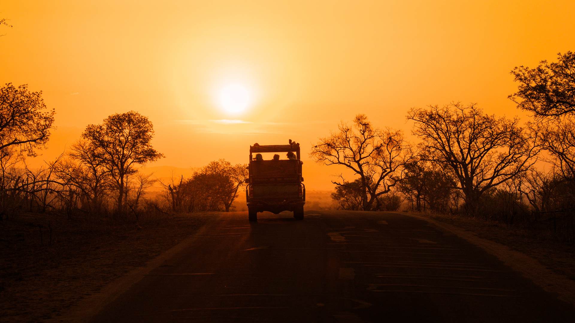 kruger national park