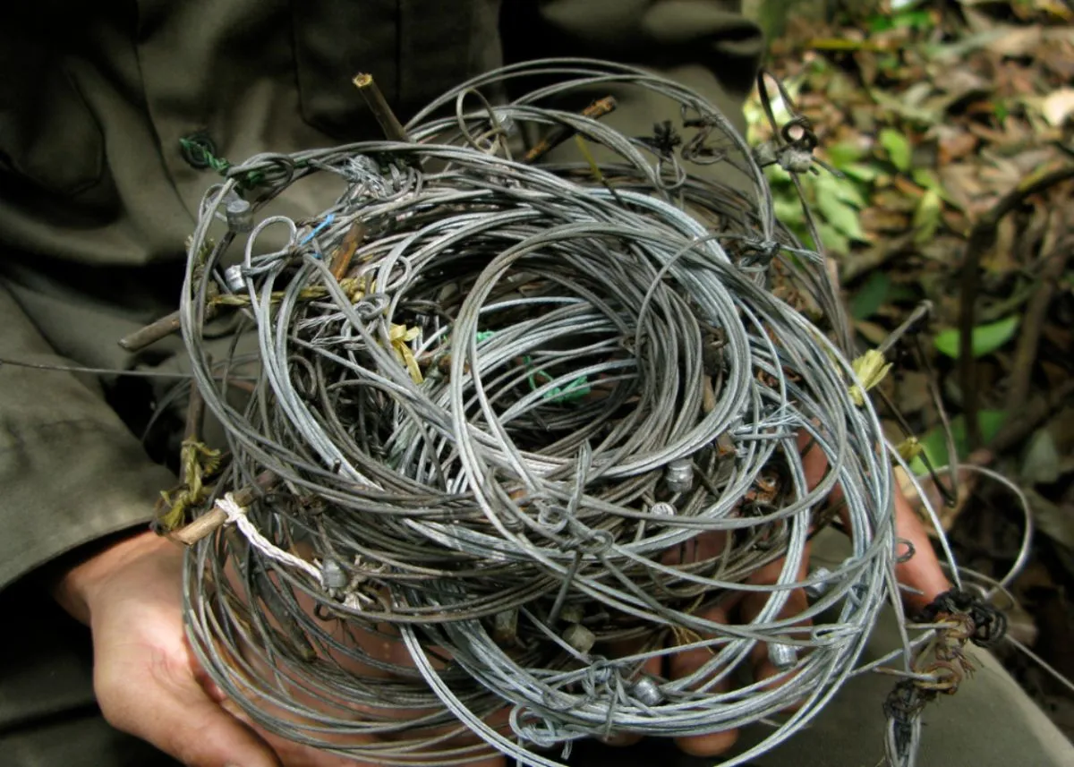 animal snares