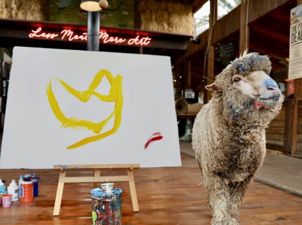 Painting sheep