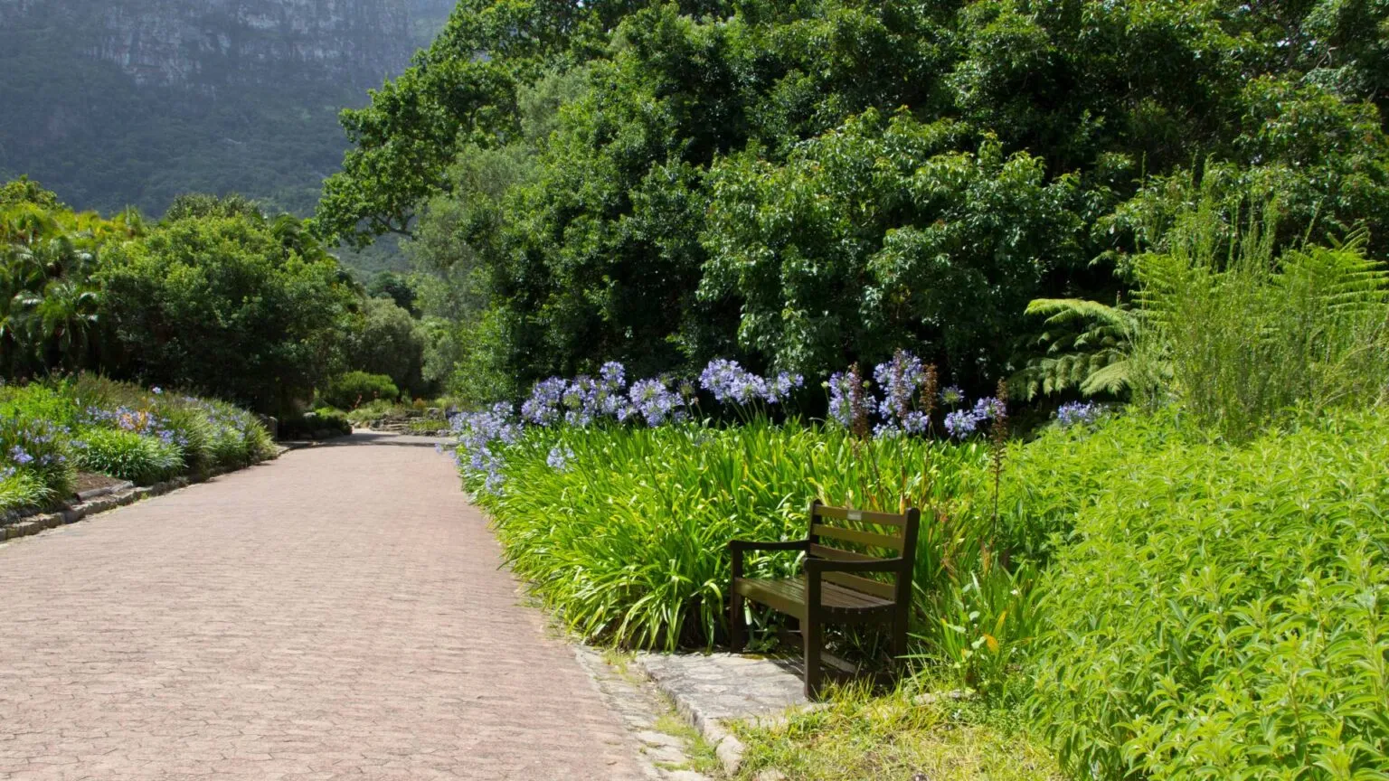 SANBI Gardens