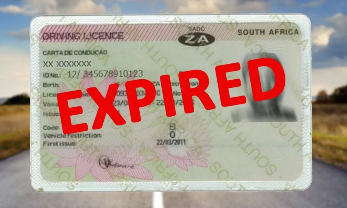 Staff working overtime to clear 750 000 backlog of 2025 drivers’ licences.