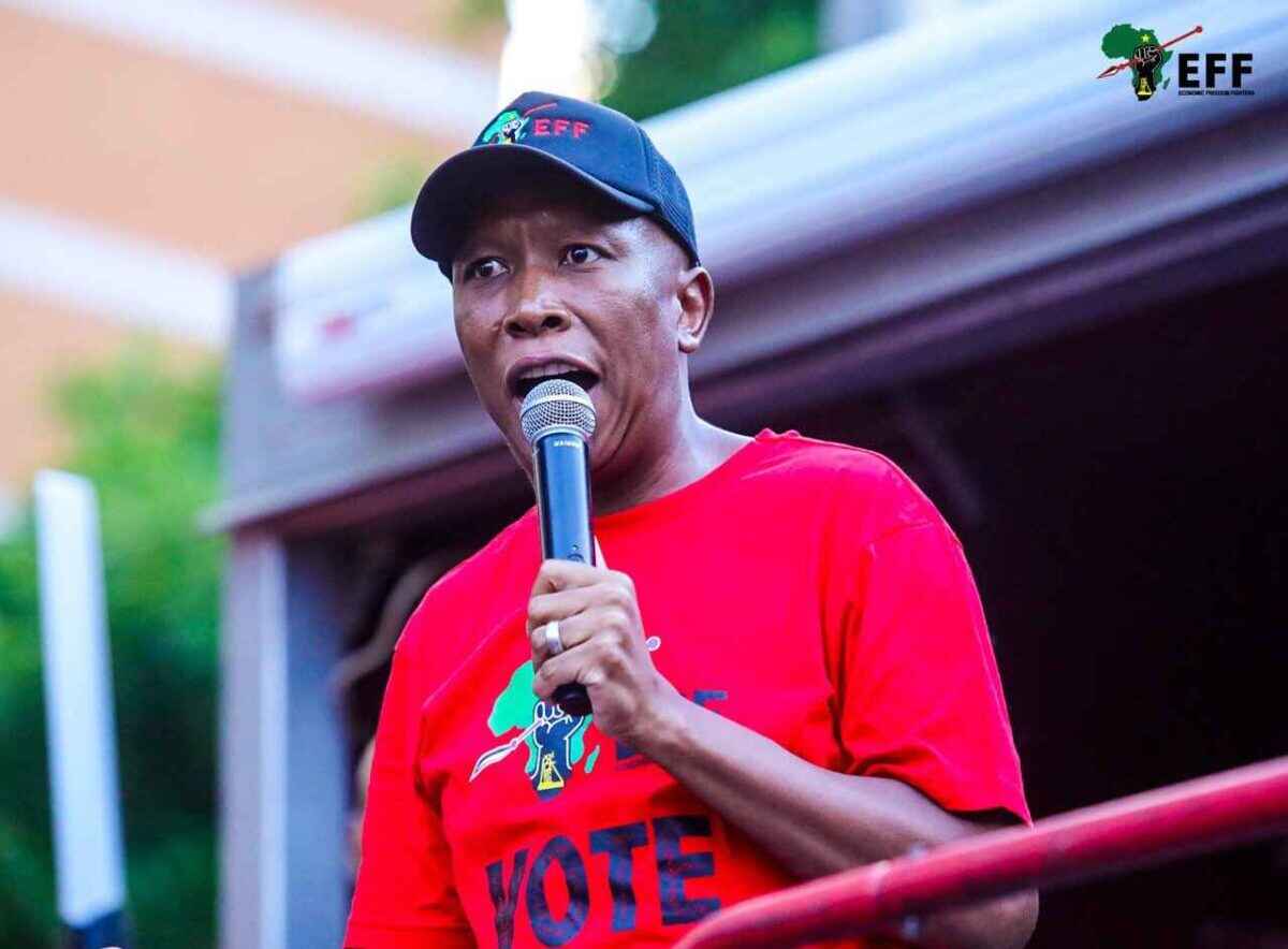 EFF leader Julius Malema.