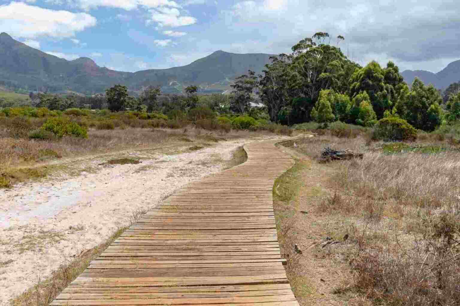 Table Mountain