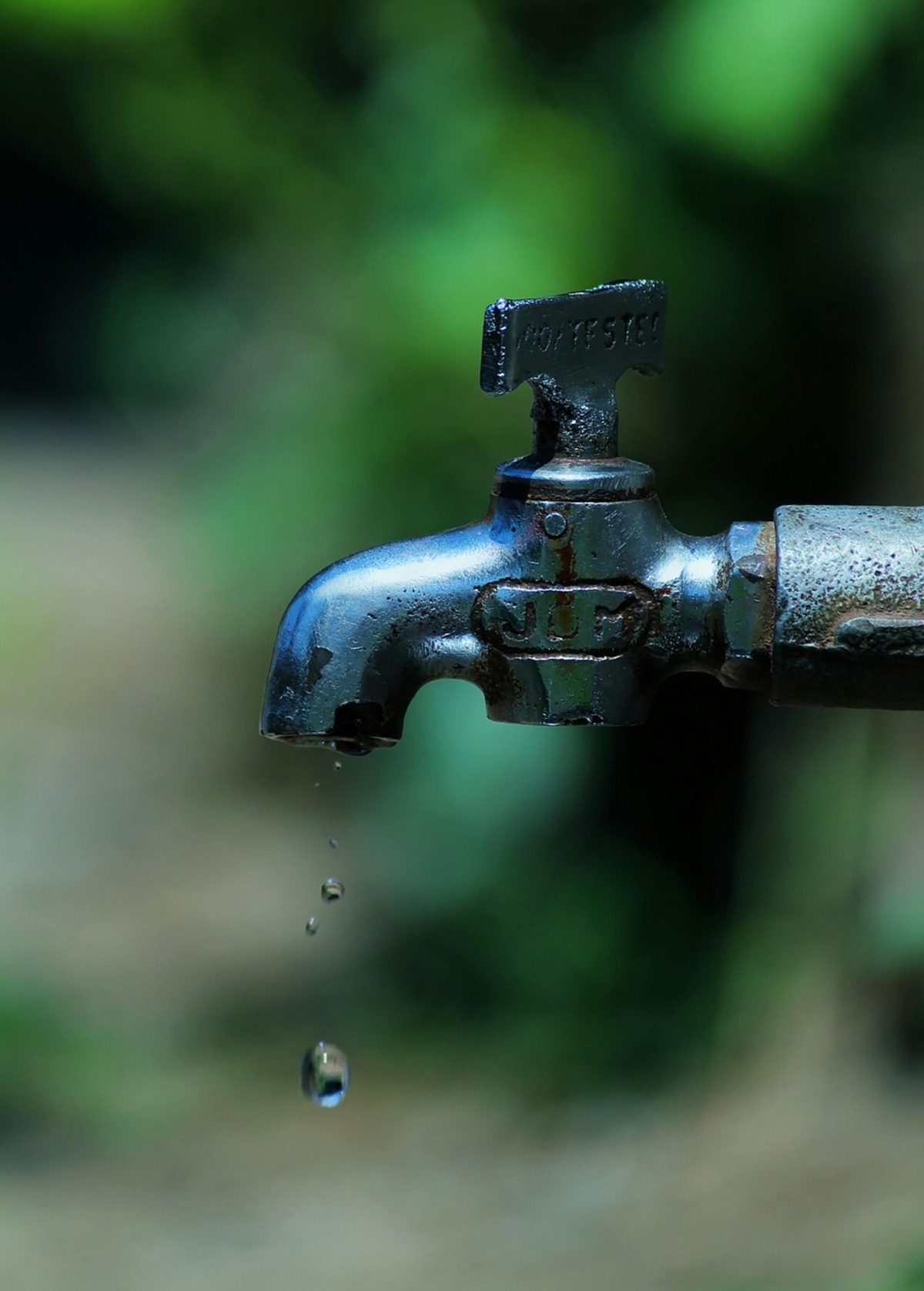 Rand Water