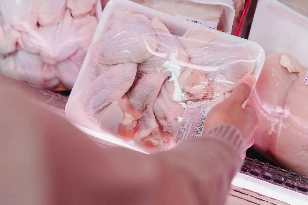 Chicken