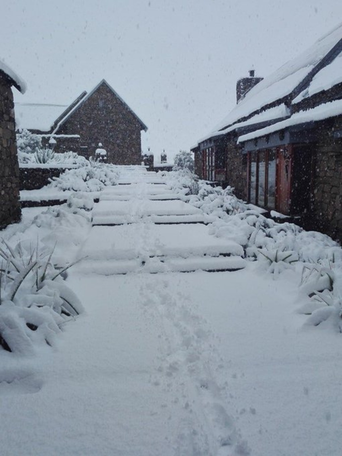 Snow