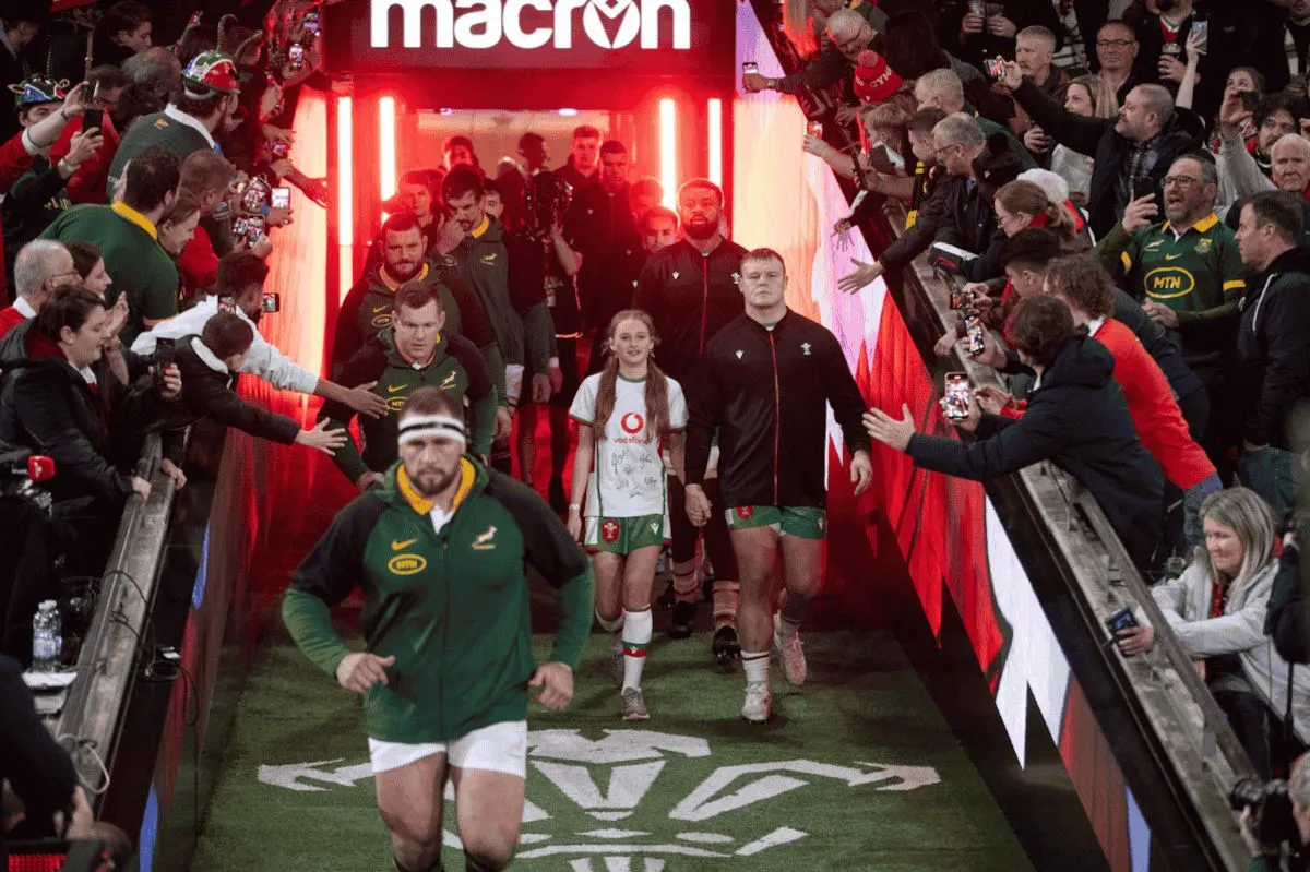 Wales vs Springboks