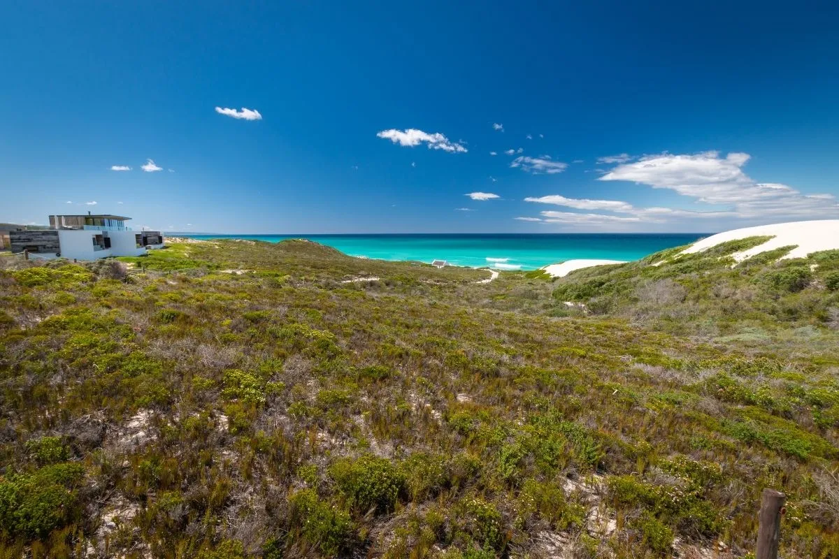 Fynbos trails