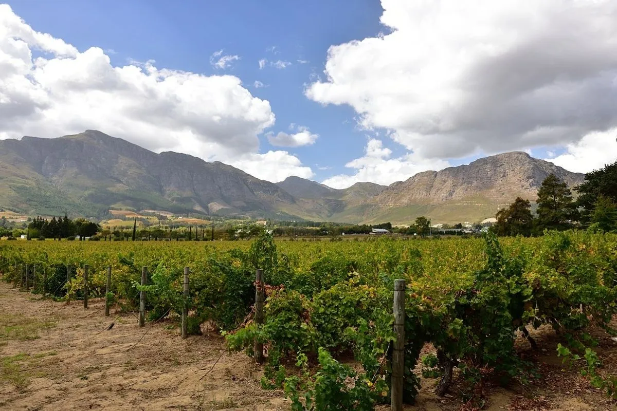 Western Cape