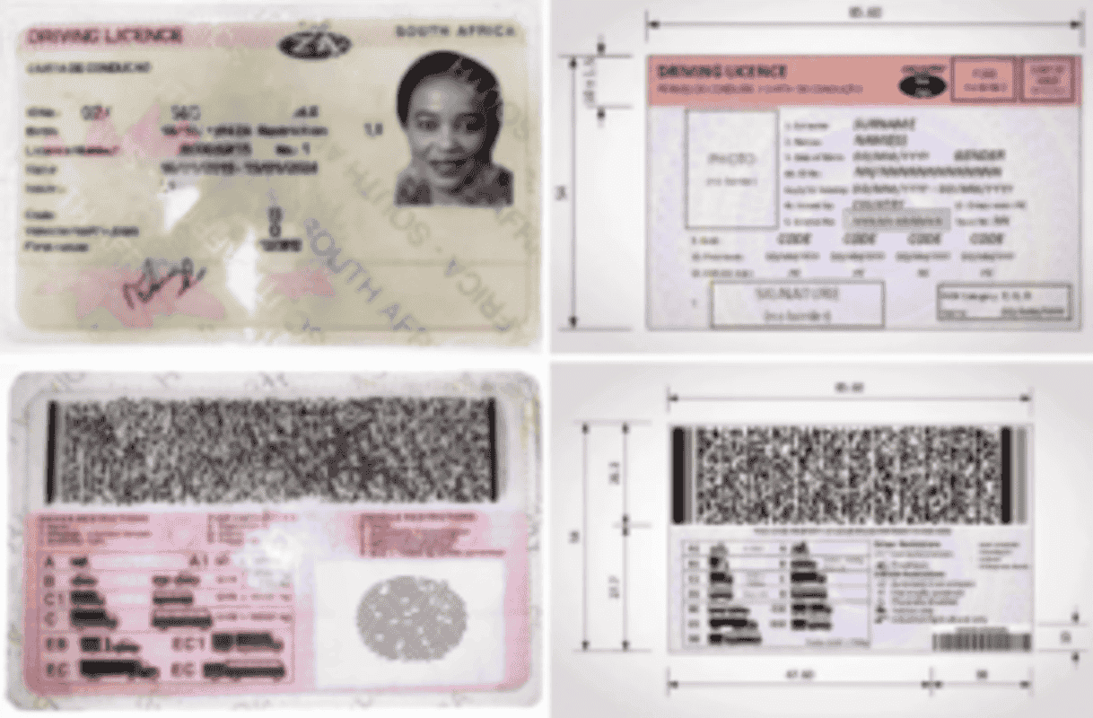Driver's licence