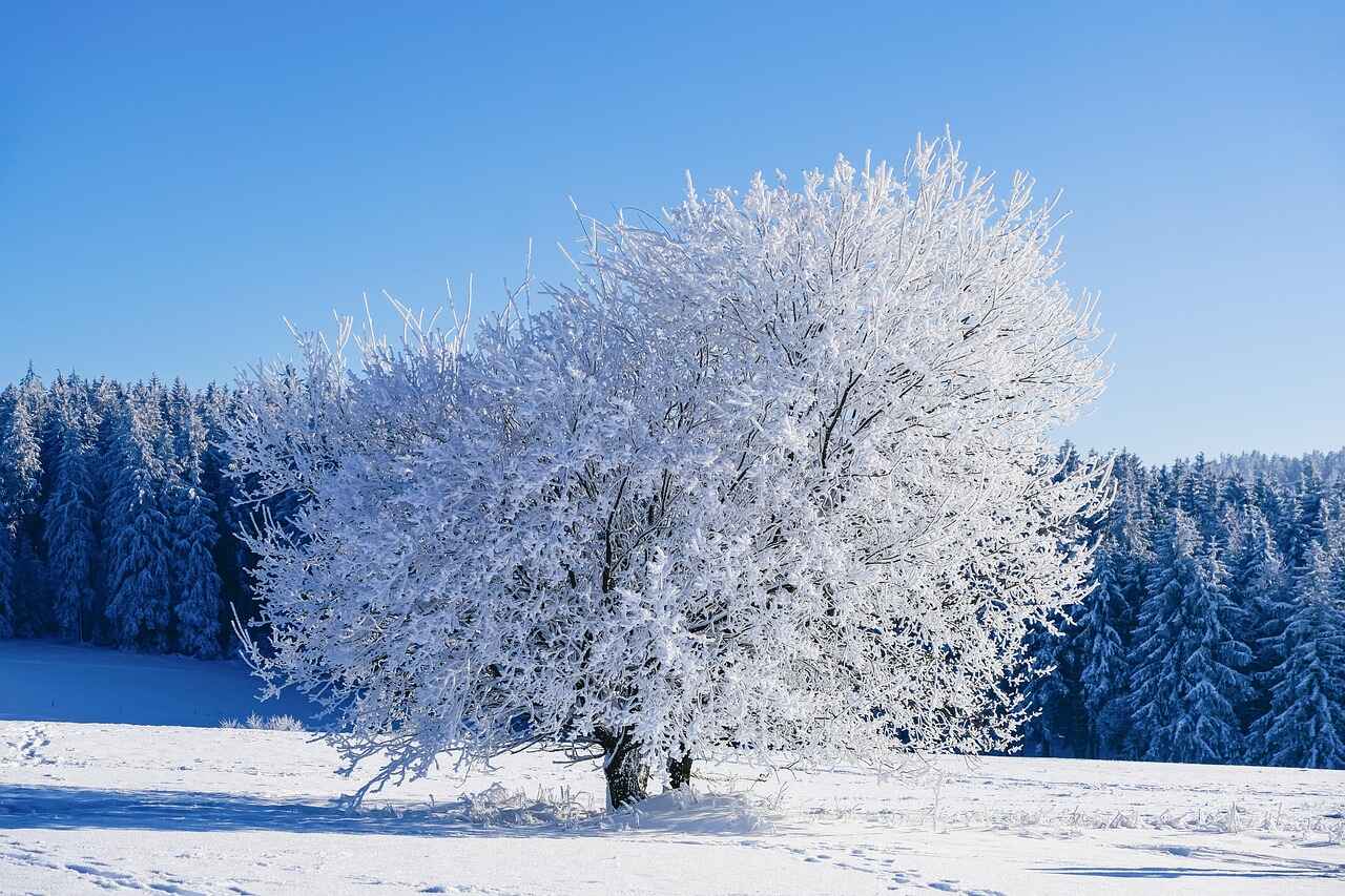 winter solstice