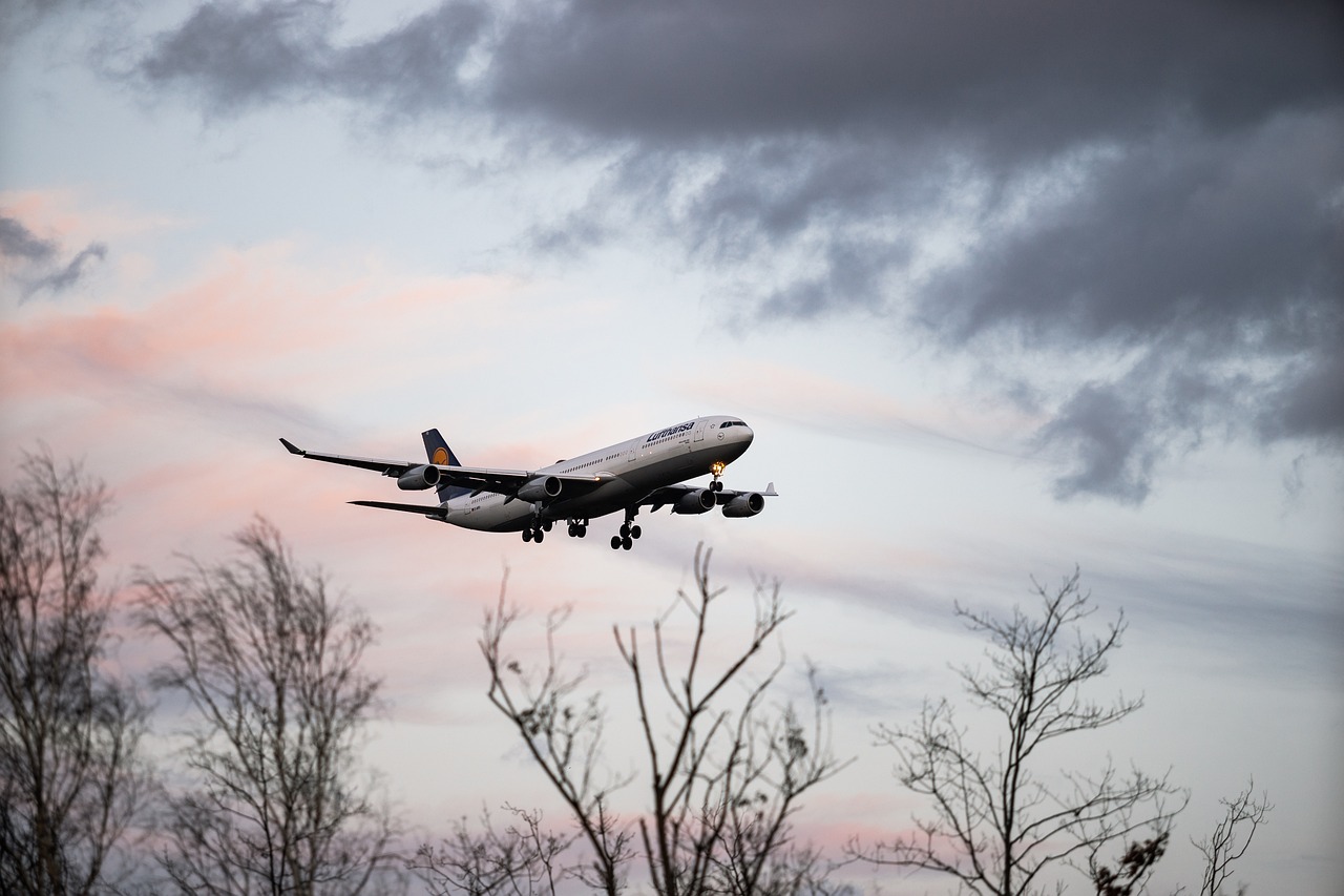 international flight