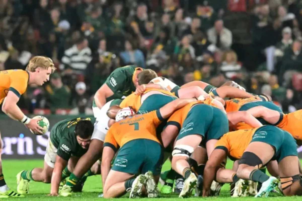 Springboks