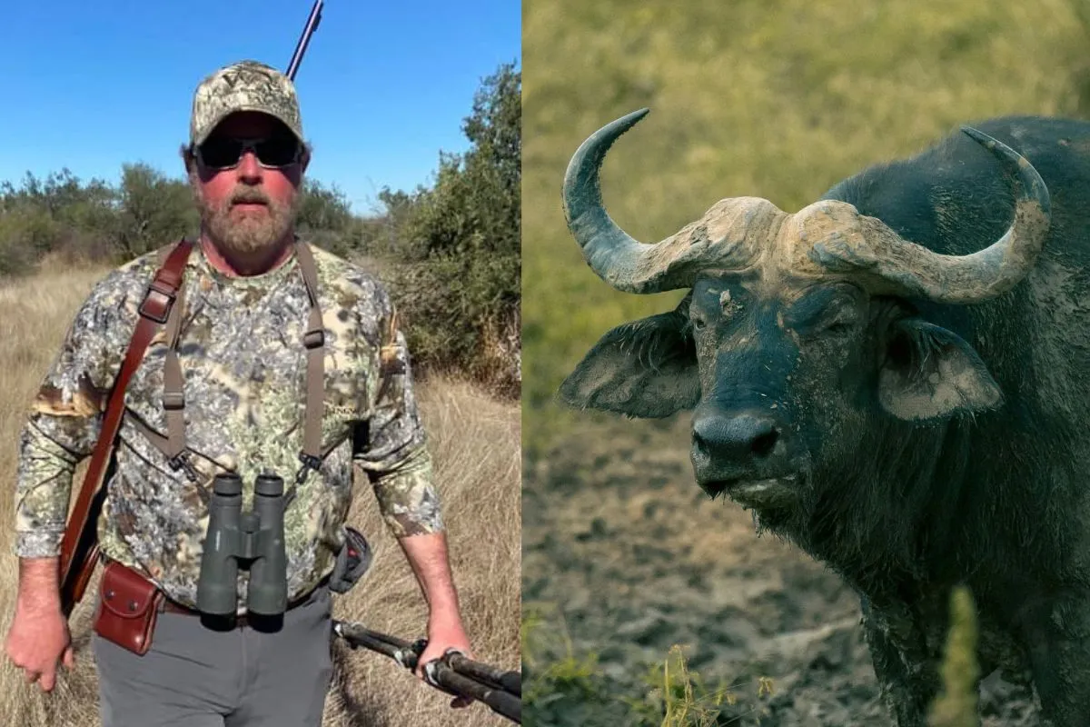 Buffalo