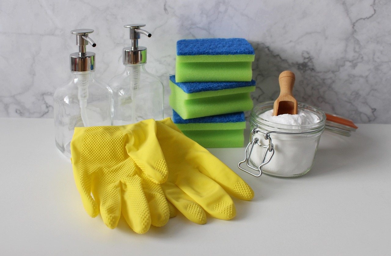 domestice workers