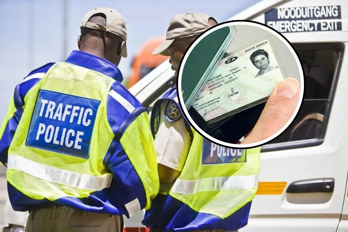 driving licence cards