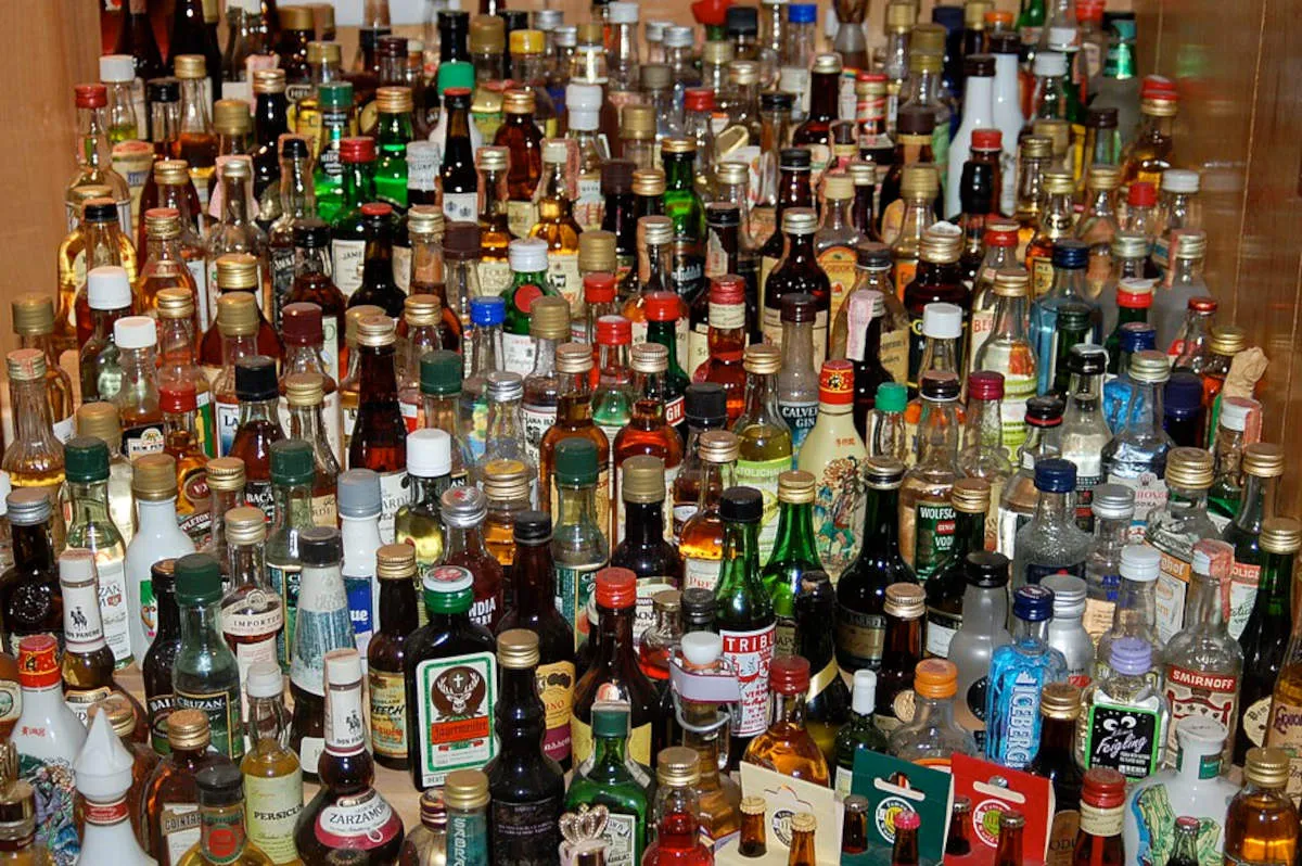 The EFF has introduced the Liquor Amendment Bill in the National Assembly, aiming to ban alcohol advertising in South Africa.
