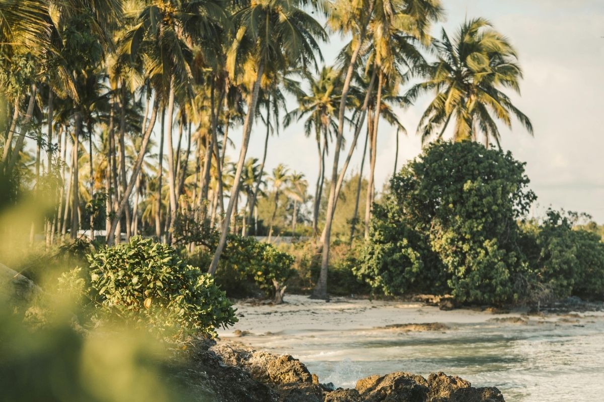 Pemba hotel project
