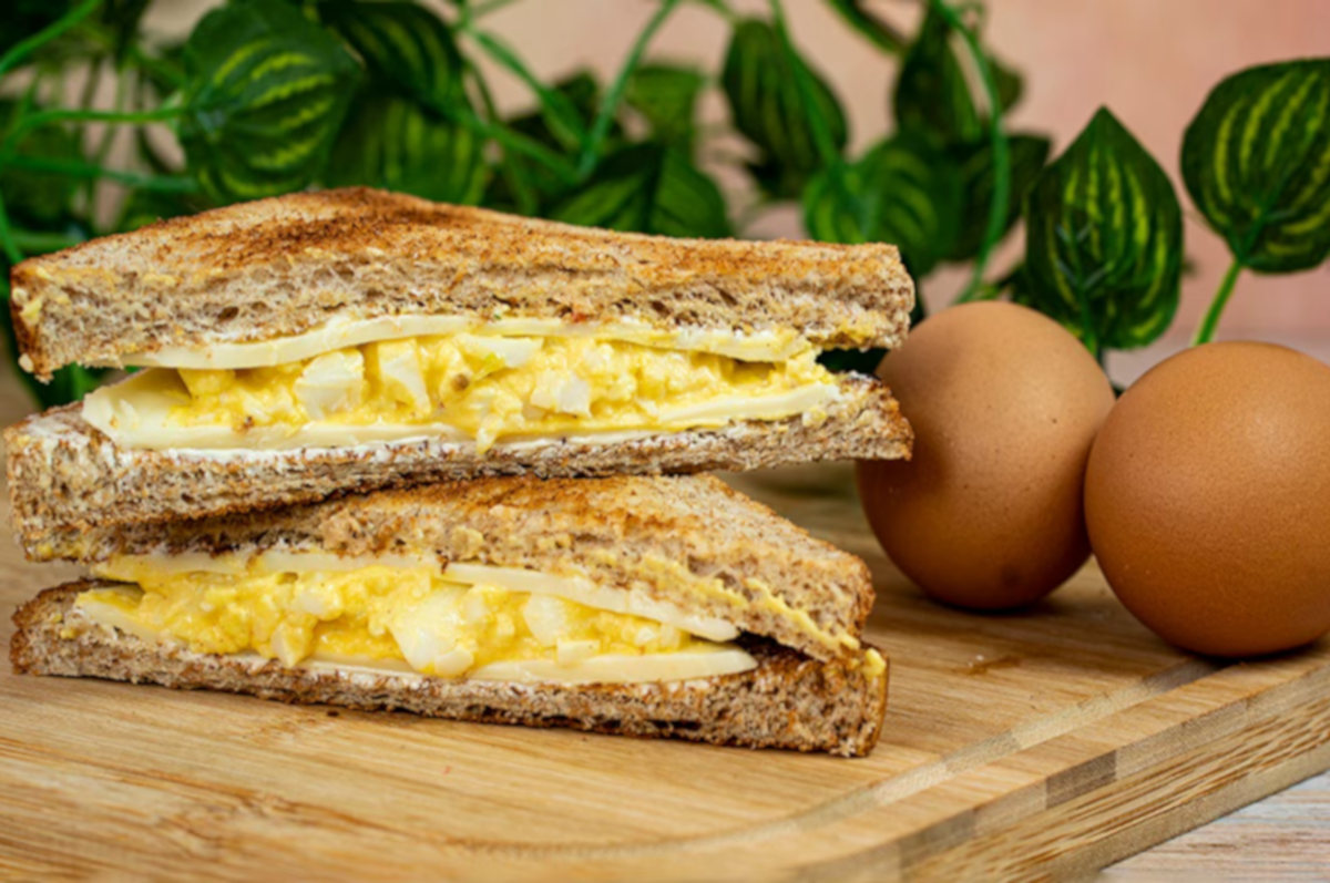 Egg mayo toasted sandwich