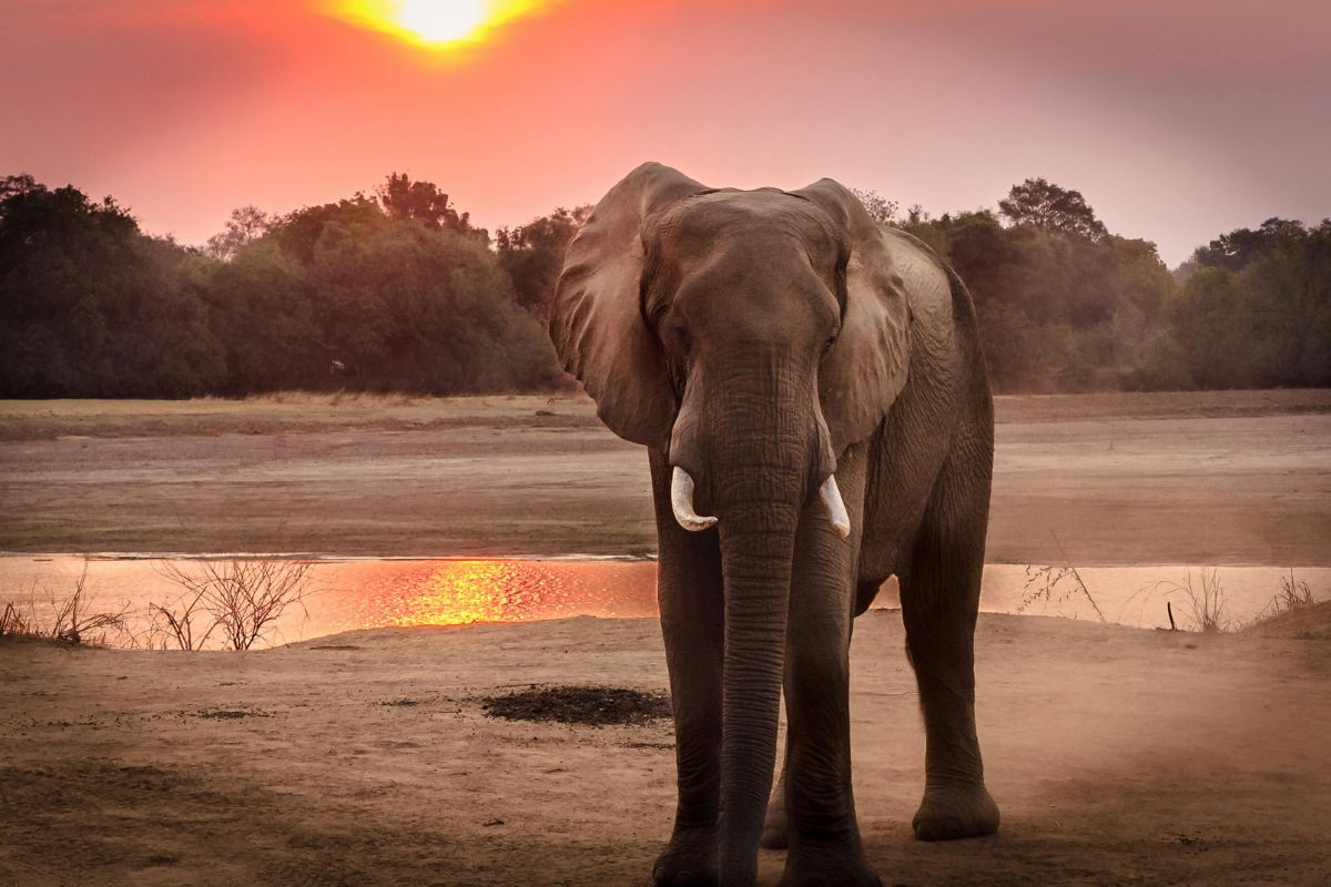 Southern Africa