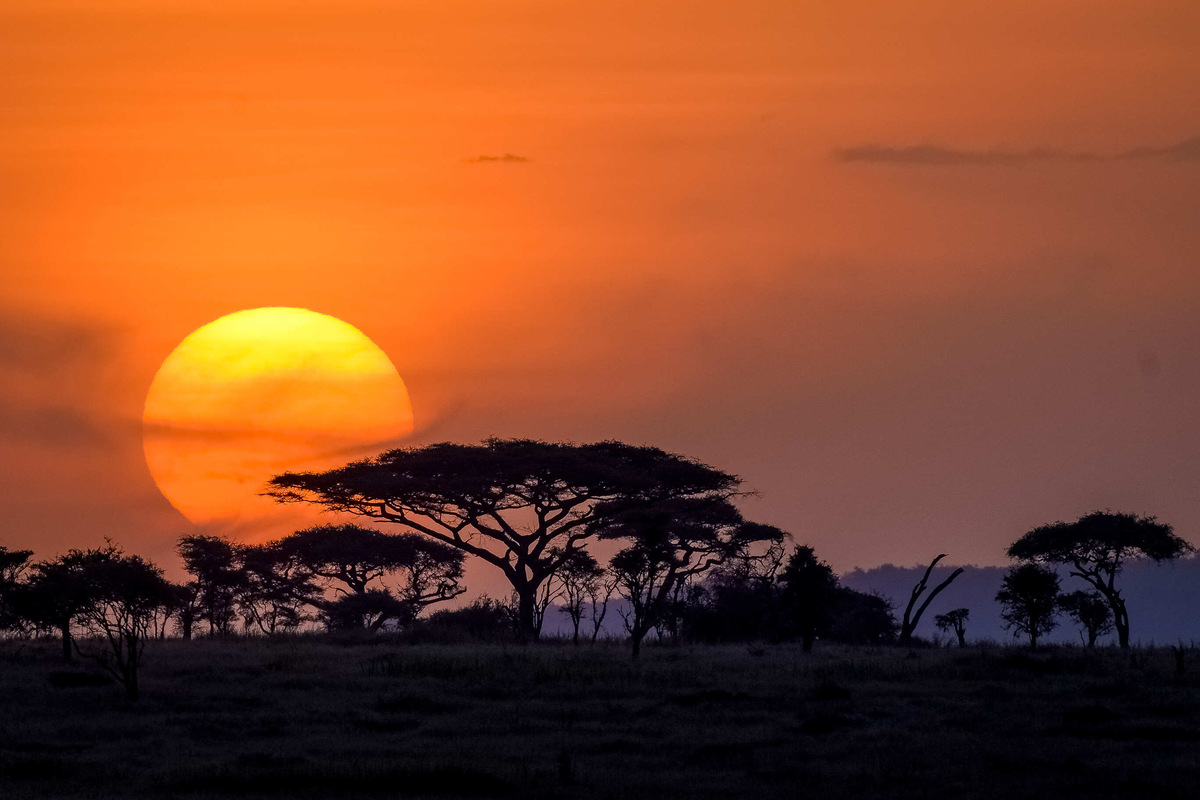Holiday in Tanzania