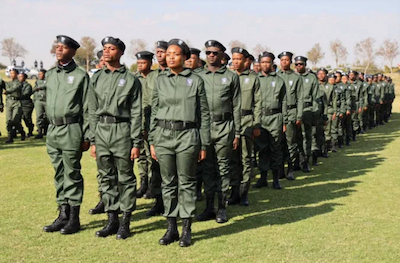 AmaPanyaza. Crime Prevention Wardens