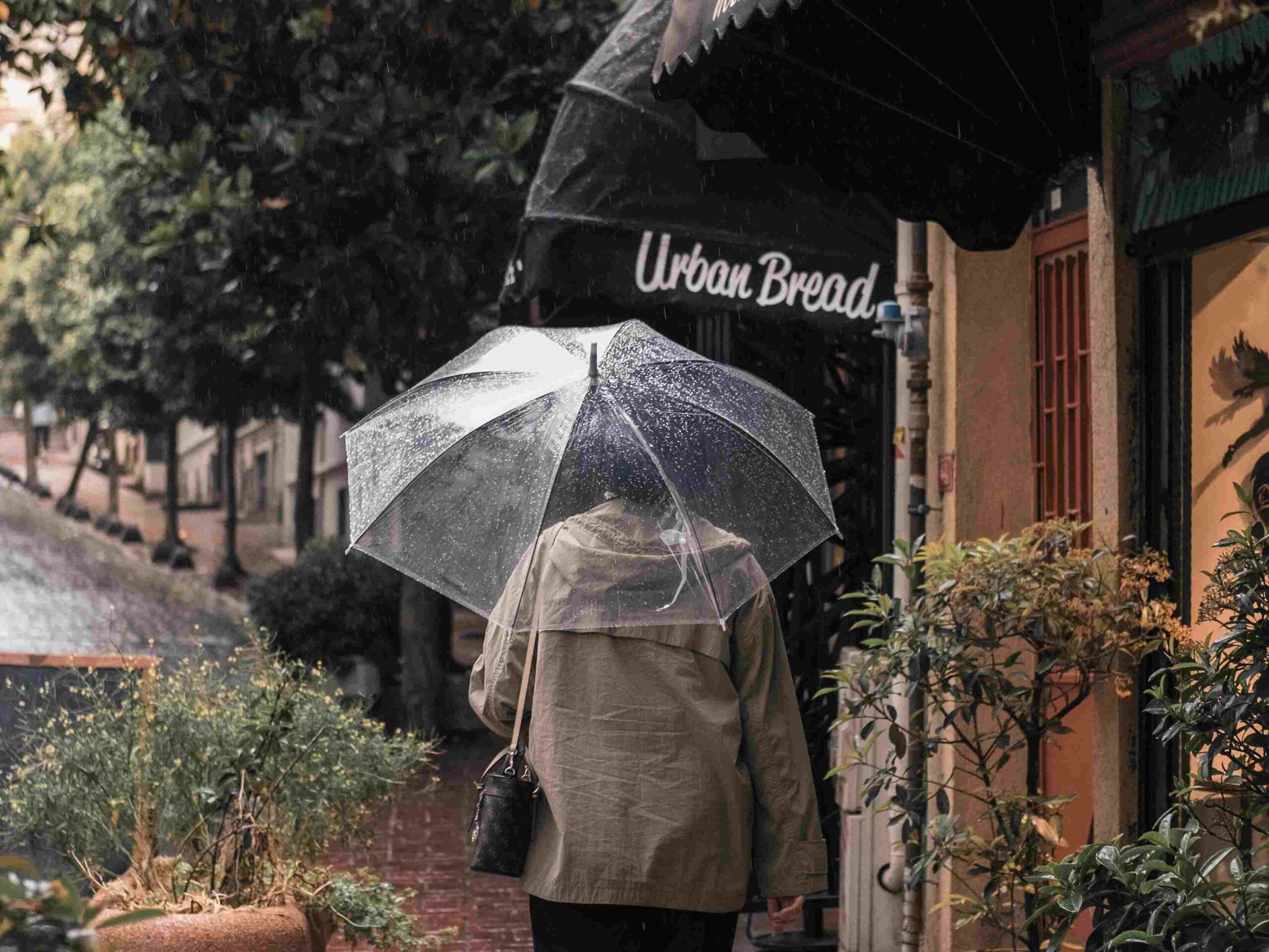 Rainy days call for cozy moments and simple joys.