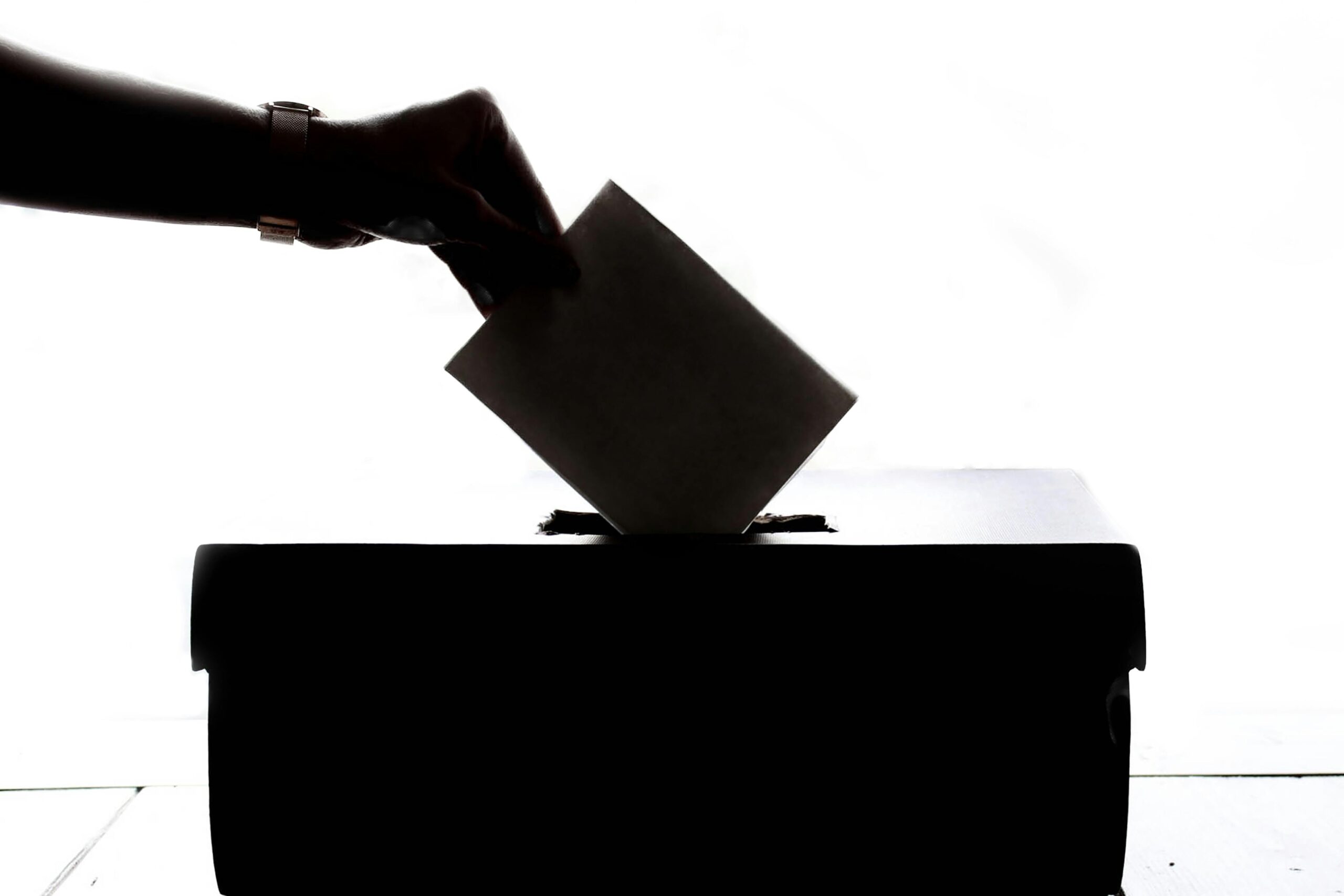 Voting in Tanzania
