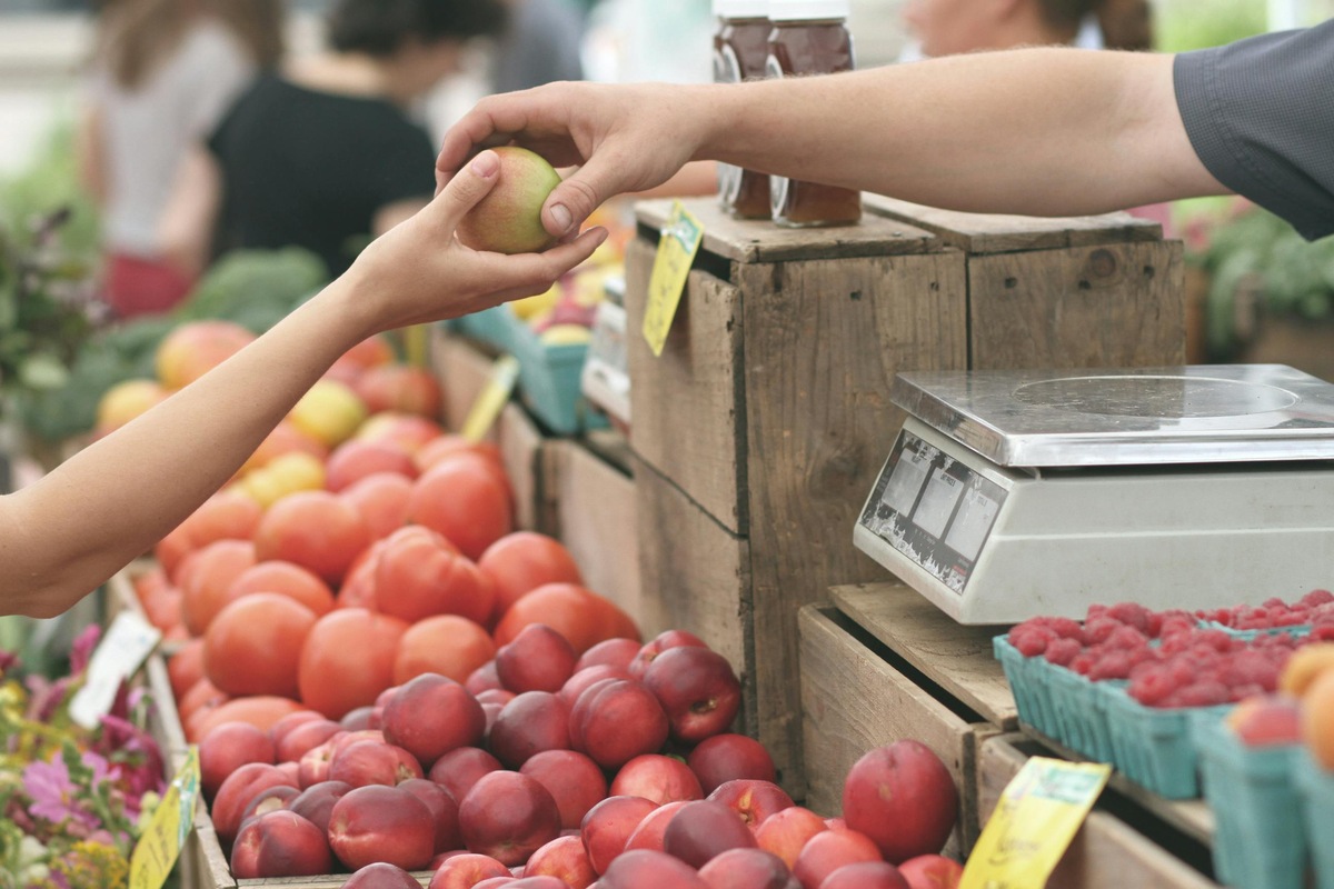 Oranjezicht Market Relaunch