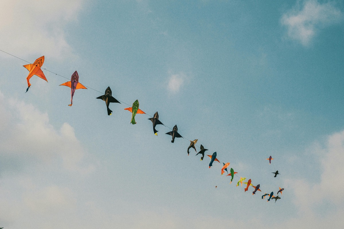 The international kite festival Cape Town