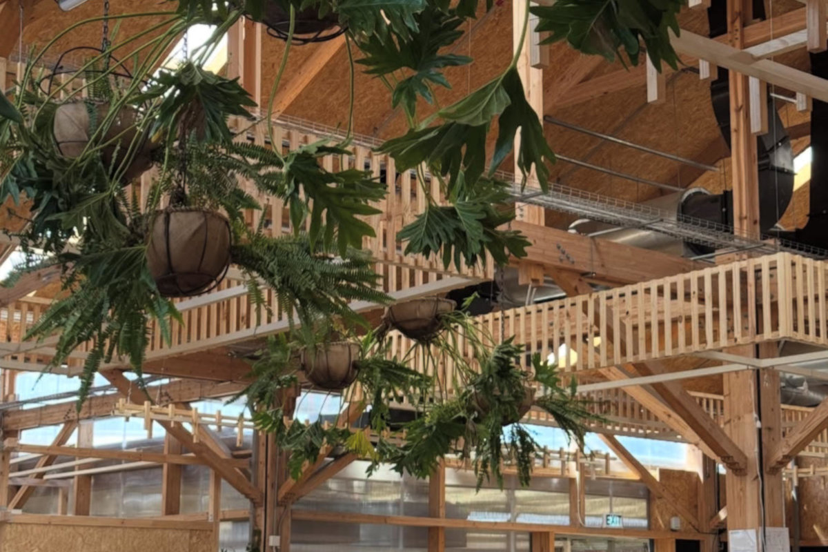 Oranjezicht City Farm Market