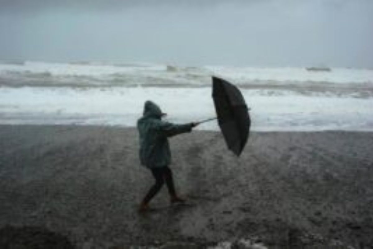 South africa weather forecast.