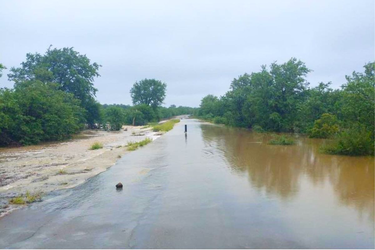 Kruger camps face fresh rain delays as rivers rise in the north of Kruger National Park. Travellers urged to stay alert.